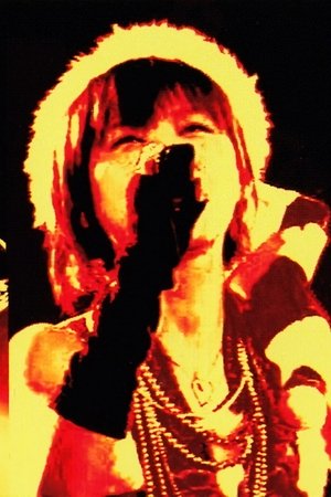 Acoustic LIVE DVD Collection -Falcom x jdkTV-