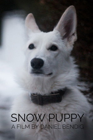 Snow Puppy