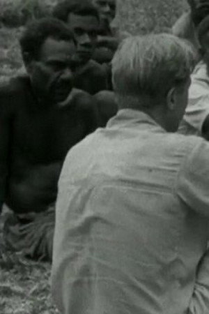 Cargo Cult