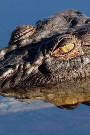 8. epizoda