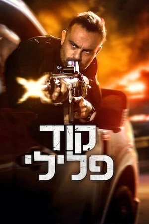 קוד פלילי