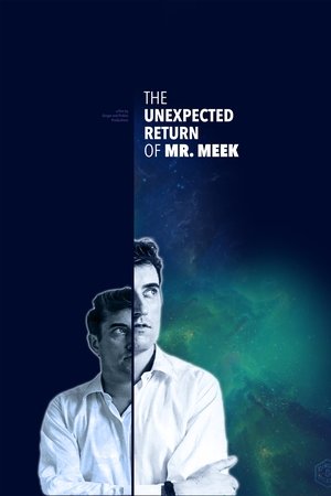 The Unexpected Return of Mr Meek