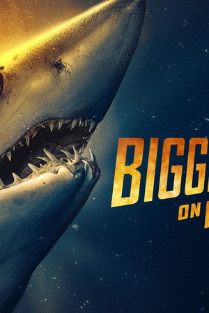 Biggest Mako on Earth