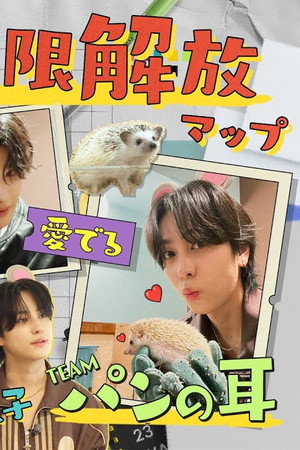 [Shibuya City] Healing Time with Cute Hedgehog🦔