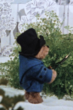 Paddington Takes a Snip