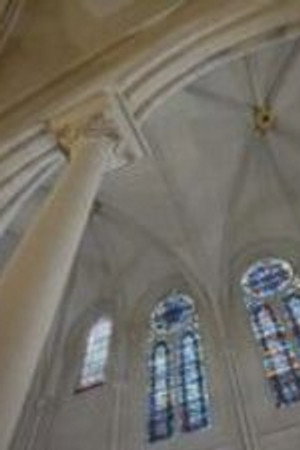 Notre Dame - Build To Survive