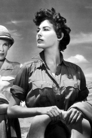 Mogambo