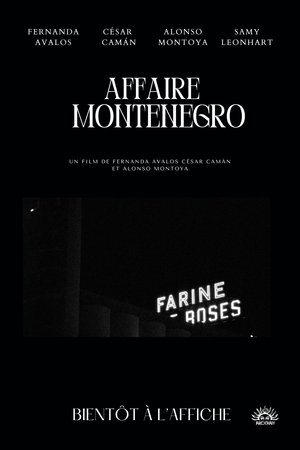 The Montenegro Affair
