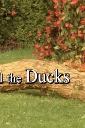 Angus and the Ducks
