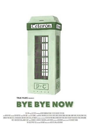 By Bye Now