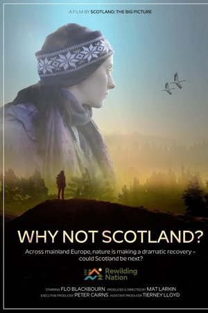 Why Not Scotland?