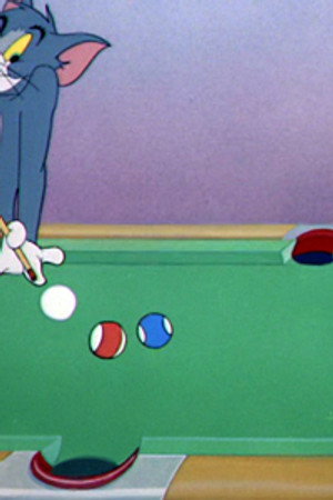 Cue Ball Cat