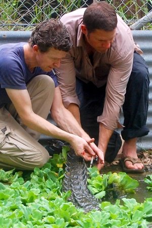 10. epizoda