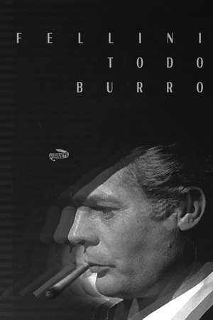 FELLINI TODO BURRO (um filme caseiro)