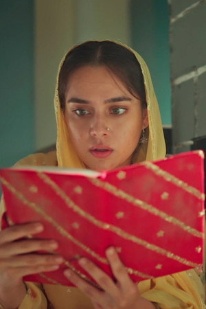 Seher Uncovers Ghazala's Diary