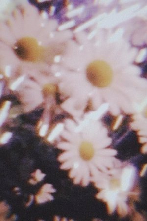Amorphous diary