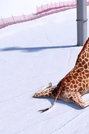 12. epizoda