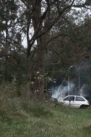 La mujer que usaba esparcidas las ondas del pelo