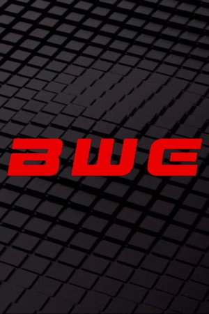 Boston Wrestling Entertainment