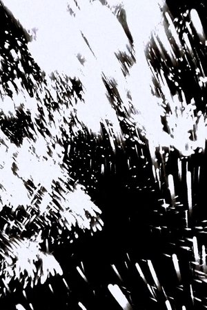 Les Cils de l’Apocalypse