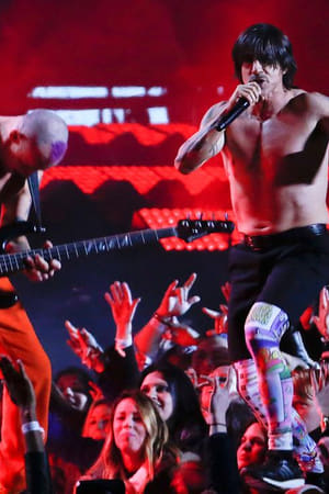 Red Hot Chili Peppers - Rock in Rio