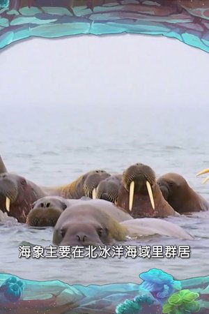 9. epizoda