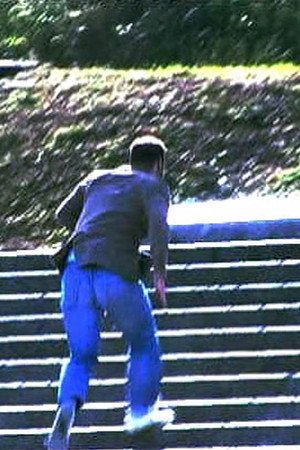 Gog's film
