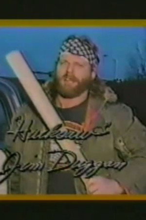 March 21, 1987 - Superstars of Wrestling 29