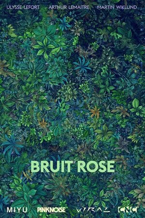 Bruit Rose
