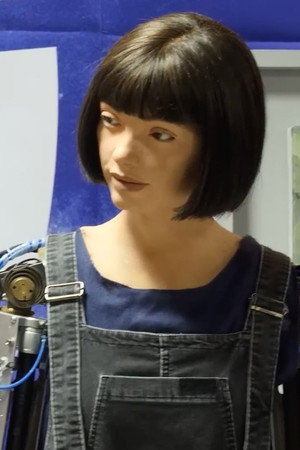 AI and Humanoid Robots