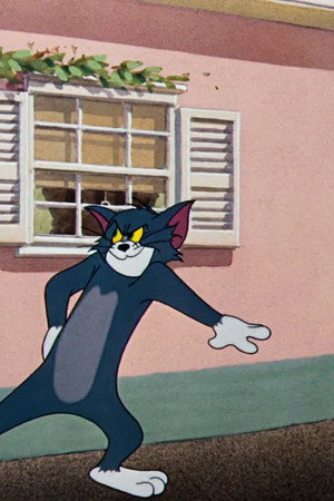 The Flying Cat