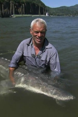 4. epizoda