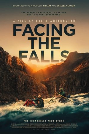 Facing the Falls