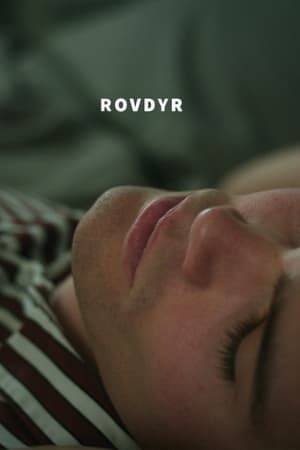 Rovdyr