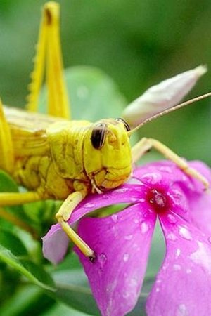 3. epizoda