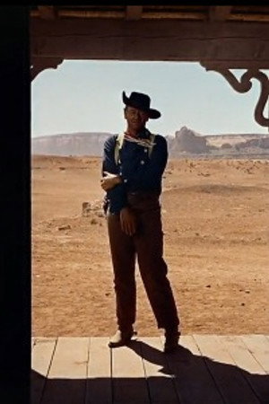 Centauros del desierto