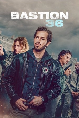 Bastión 36
