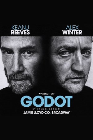 Waiting for Godot
