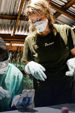 Can future pandemics be prevented?