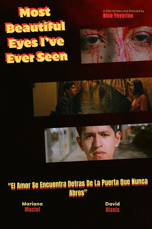 Most Beautiful Eyes I've Ever Seen