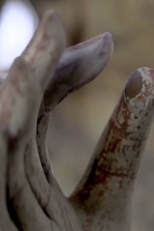 epizoda