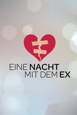 Eine Nacht mit dem Ex