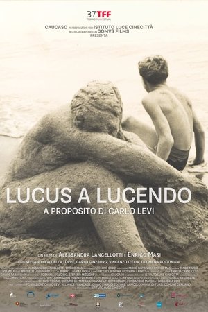 Lucus a Lucendo - A proposito di Carlo Levi