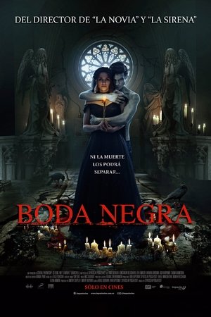 Boda Negra