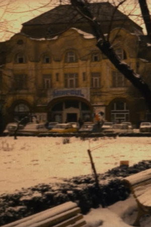 Seraliștii