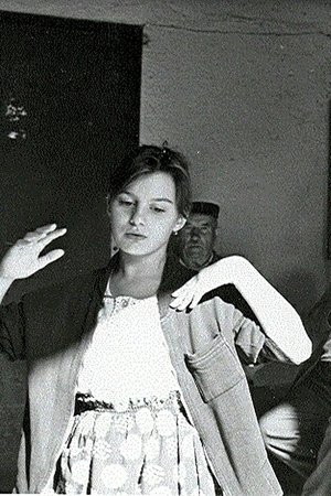 A nyaraló
