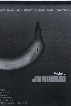 Projekt: Johnson