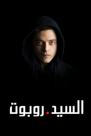 السيد روبوت