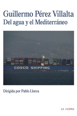 Guillermo Pérez Villalta. Del agua y el Mediterráneo