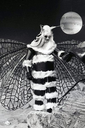20. epizoda